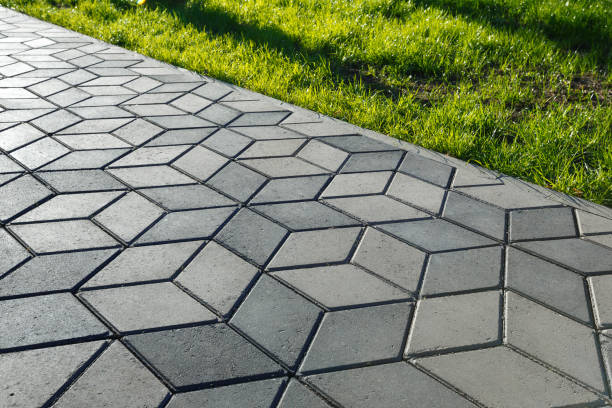 Best Professional Driveway Pavers  in Bowman, ND